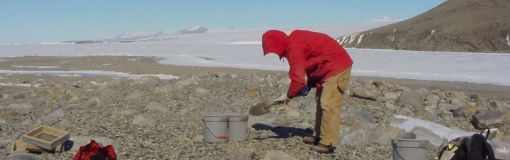 Researchers Excavating the Colonies